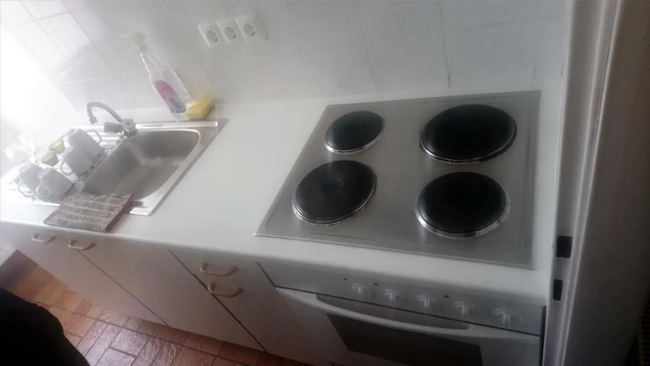 Fully Furnished Apartment Viyana Avusturya